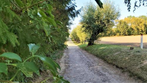 Ferienwohnung Poeler Möwe