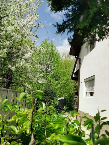 Casa File de Poveste, Târgu Jiu