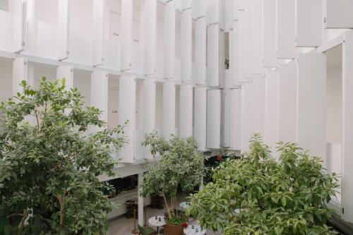 Condesa df, Mexico City, a Member of Design Hotels in Mexico City, Mexico
