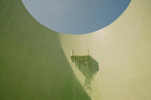Condesa df, Mexico City, a Member of Design Hotels in Mexico City, Mexico