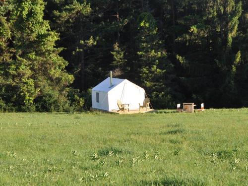 Tentrr - Escaping Cow Farm - image 3