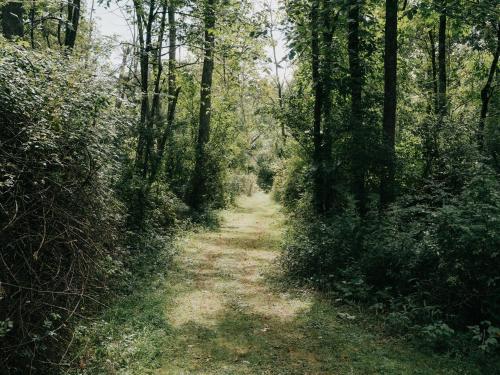 Tentrr - Creekside Solitude - image 7