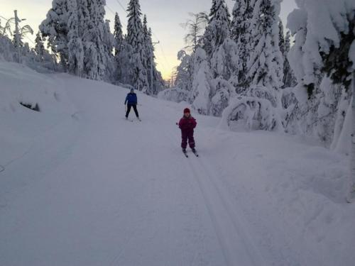 Karemajat Cottage Resort - image 12