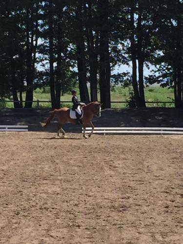 . Sassi Talu Horsefarm