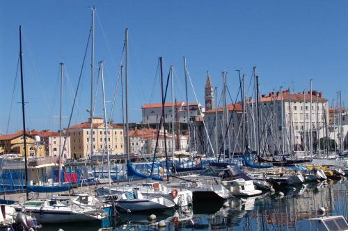 Apartments Piran 2