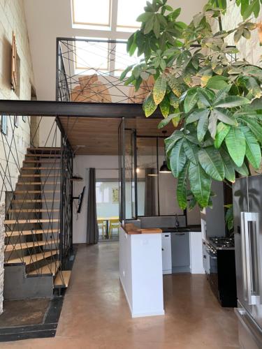 Maison de ville 15 personnes avec jacuzzi gîte à louer Bourgueil