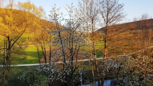 Apartment Pegnitzmühle mit Pegnitzinsel