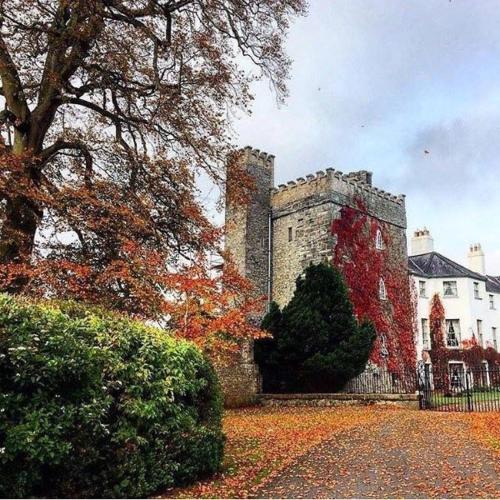 Barberstown Castle