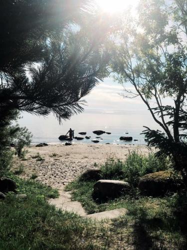 Viesu nams Zivtiņi (Viesu nams Zivtini) in Kandava