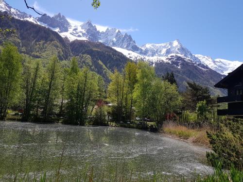 bel appartement , son jardin et le lac Chamonix