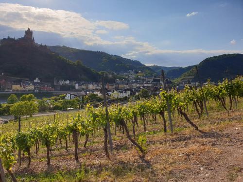 Weingut Haxel - image 11