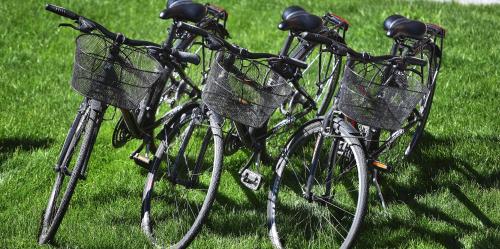 Hotel Roberta Alpine Adults only