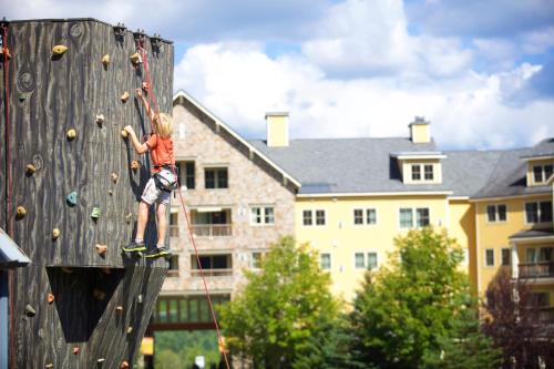 1Br Ski-in, Ski-out With King Bed- Okemo Mtn Lodge condo, Ludlow (fotografie 8)