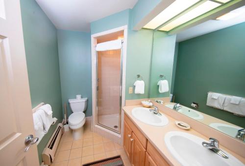 2Br Solitude -Ski-in, Ski-out Access to Promenade Trail condo in Ludlow, USA