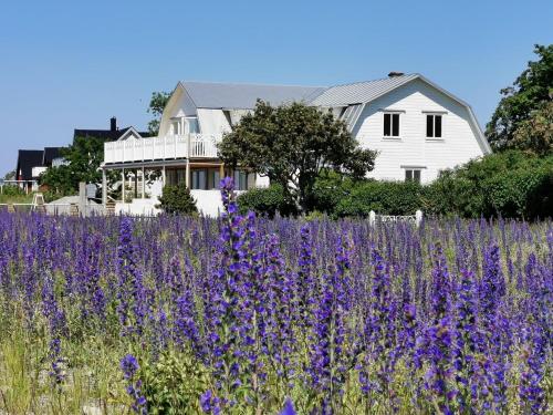 . Villa Neptuni rumsuthyrning