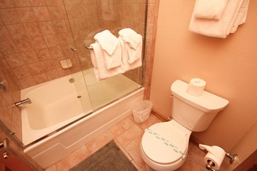 Mountainback #59 dog friendly - image 9