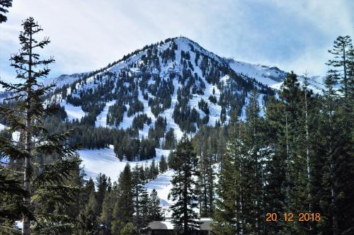 Mammoth Ski & Racquet Club #38 - Pet Okay - image 8
