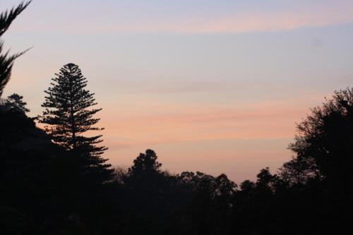 Hotel Sintra Jardim - image 8