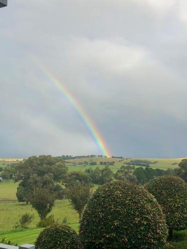 The Studio - Yarra Valley