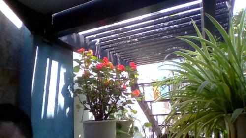 Seamist Ocean Villa, Hội An (Foto 11)