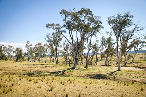 Holowiliena Station & The Outback Blacksmith in Hawker