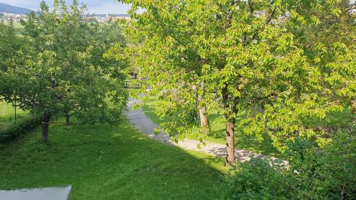 Studio Kaline 9.8km von Geroda entfernt