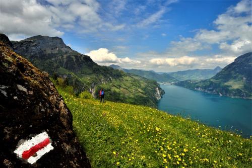 Ferienwohnung ob Vierwaldsättersee