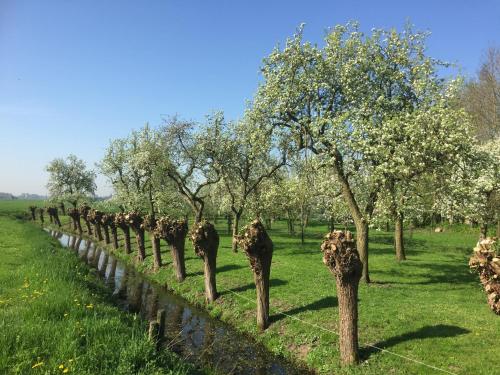 กิจกรรม, Broeks' Bed En Brood in เมียเคิร์ก