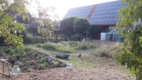 Into the Green Glamping - Great Hazelnut Into the Green Glamping - Great Hazelnut