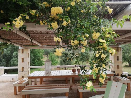 B&B Giovannarolla Green House – Ostuni, AR