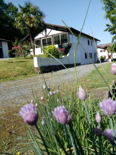 Gîte Etxe Xuri gîte à louer Ossès