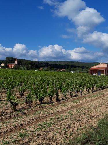 Gîte " Au Milieu des Vignes " gîte à louer Laouque