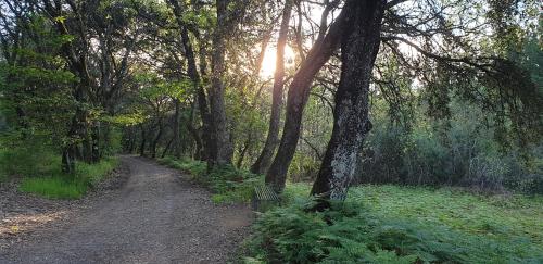  Casa Canedo Suite in San Juan de la Mata