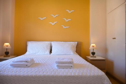 Andros Apartment - Lasia, Андрос (фото 8)