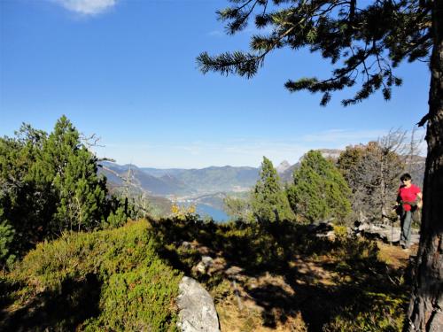 Ferienwohnung ob Vierwaldsättersee