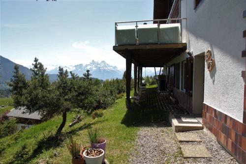 La petite Silene - image 12