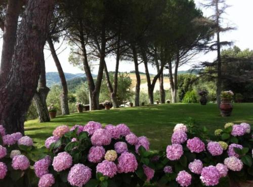 Agriturismo Le Querciole - image 11
