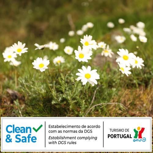  Cota 1500 - Chalé 51 - Penhas da Saúde in Penhas da Saúde