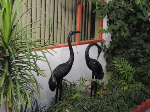 Casa Larrea Inn – Palm Desert, CA