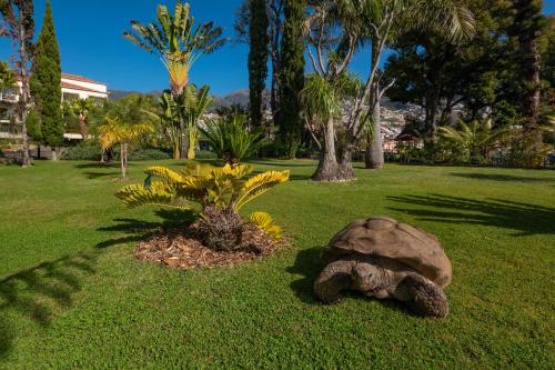 Quinta Jardins do Lago - image 14