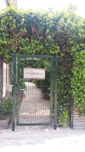 Bed and breakfast bij Hooisma - image 5