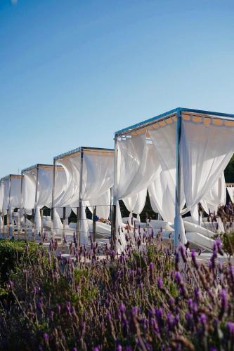 Cases de Son Barbassa