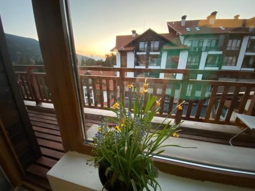 Borovets Hills Apartments - Evergreen Suite Borovets