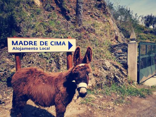 Alojamento Local Madre de Cima