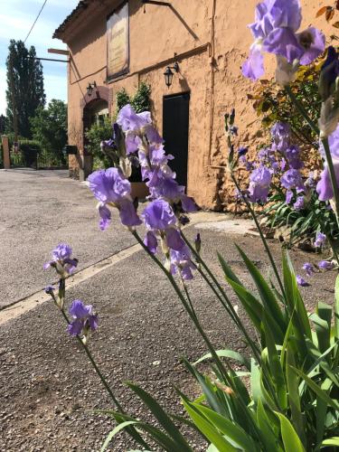 Auberge De Pachoquin - Location, gîte - Méounes-lès-Montrieux