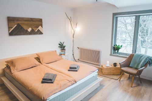 FURU Hostel & Café - Accommodation - Bøstad