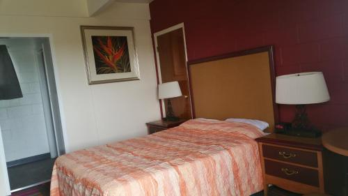 Thunder Bird Motel - image 2
