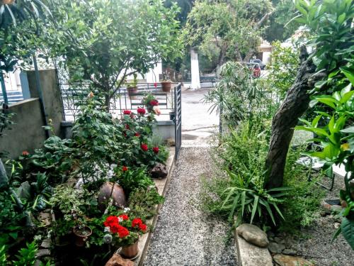  Euripides House in 81107 Skala Kallonis