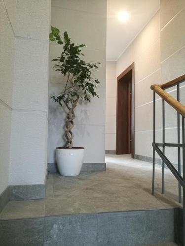 Villa Ventus - image 3