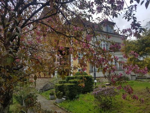 Willa Marysin - Accommodation - Maków Podhalański